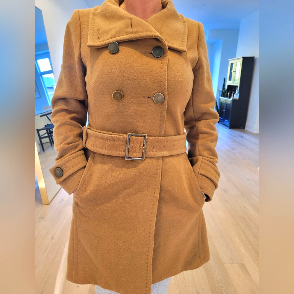 Babaton Aritzia Camel Coat